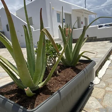 Sing And Blossom Holiday home Mykonos Town